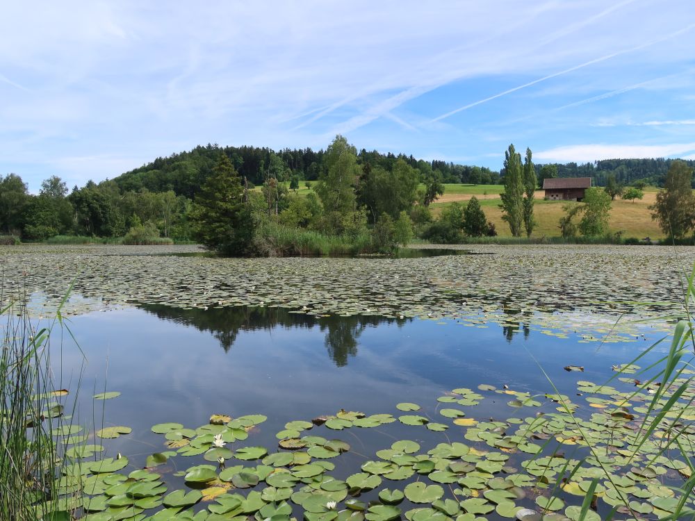 Bettenauer Weiher