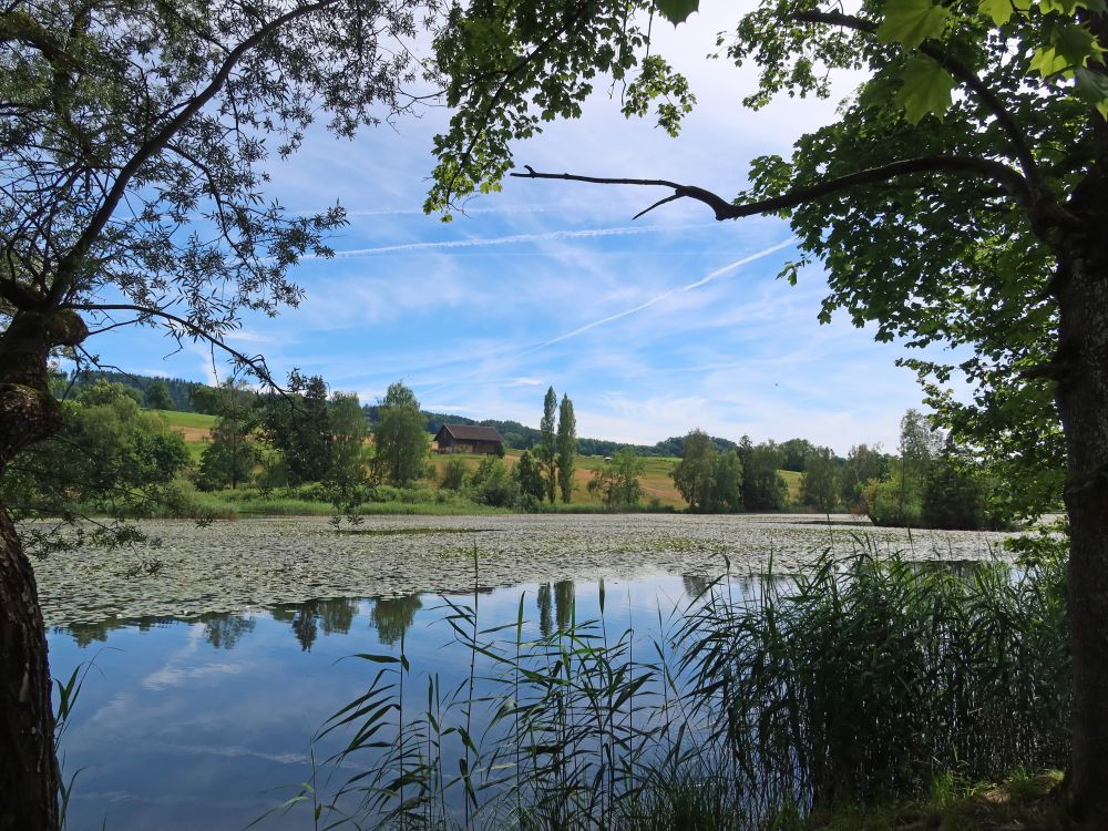 Bettenauer Weiher