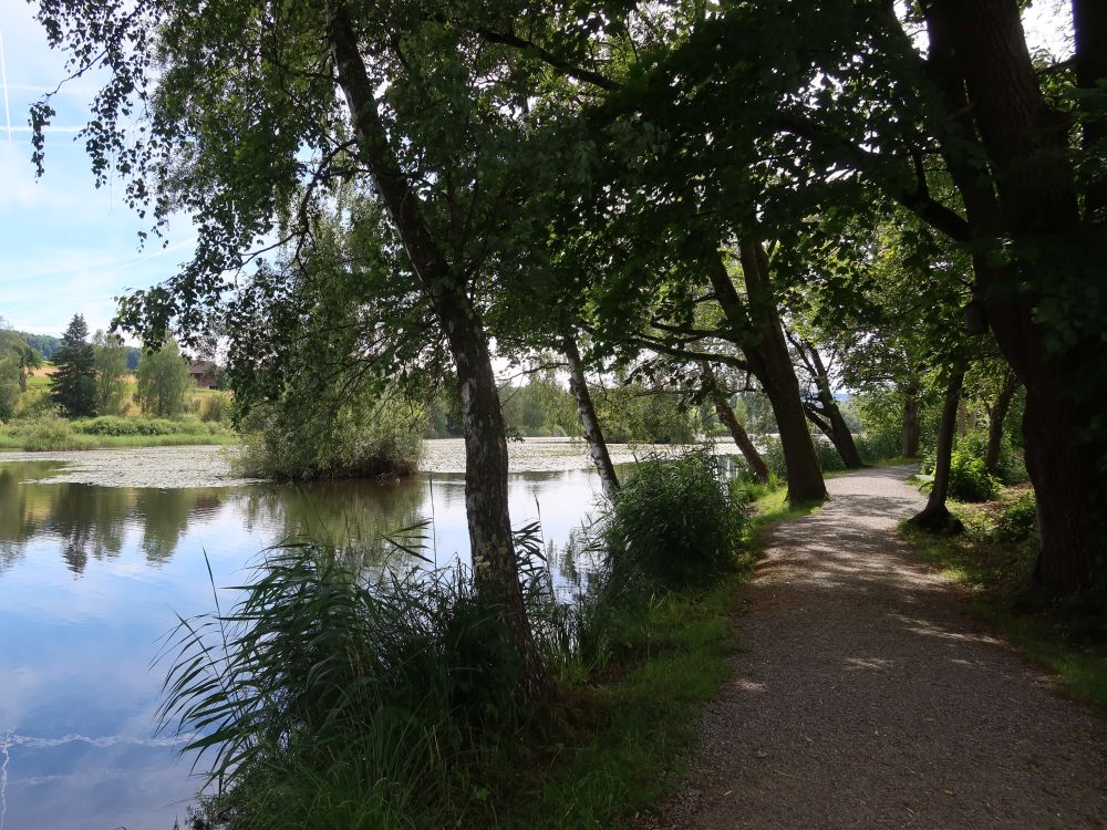 Bettenauer Weiher