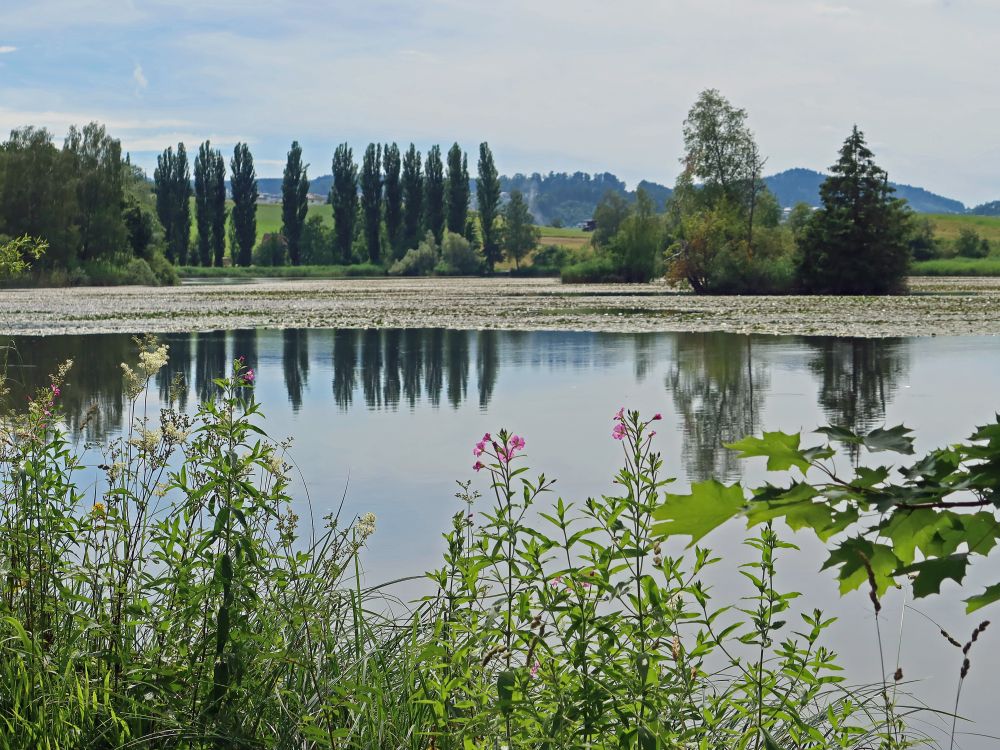 Bettenauer Weiher