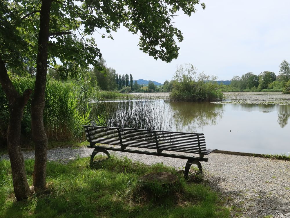 Sitzbank amBettenauer Weiher