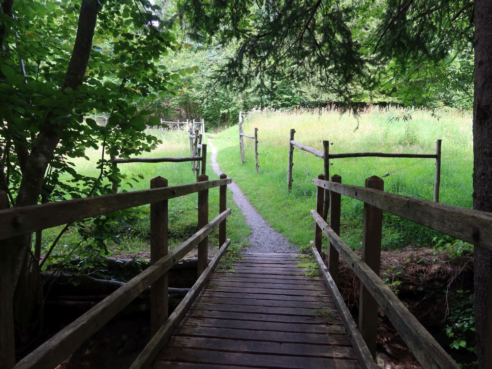 Pfad am Buechwald