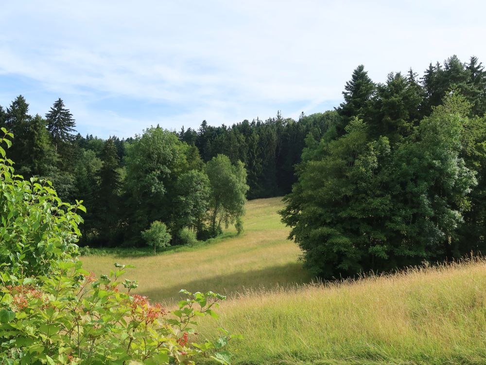 Landschaft bei Sonnenberg