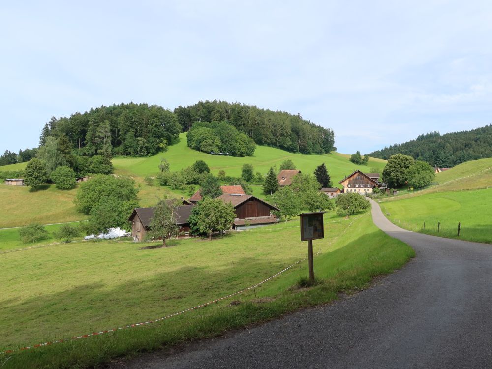 Blick auf Bisacht und Chapf