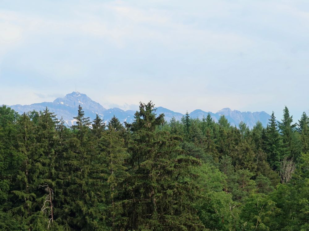 Säntis bis Lütispitz