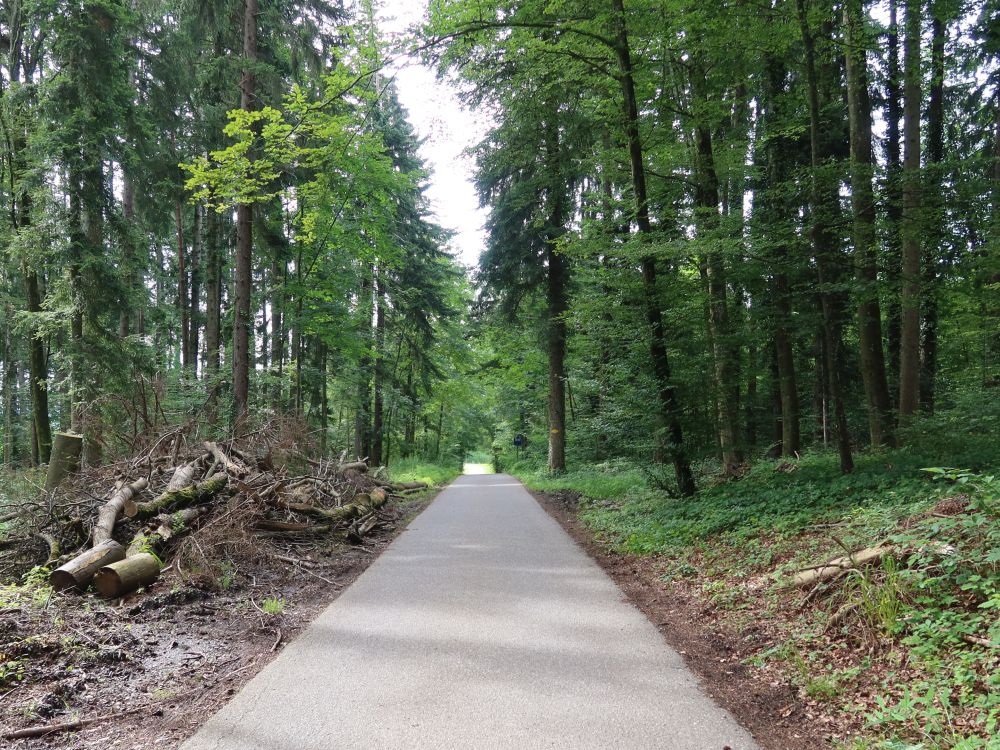 Wildbergstrasse