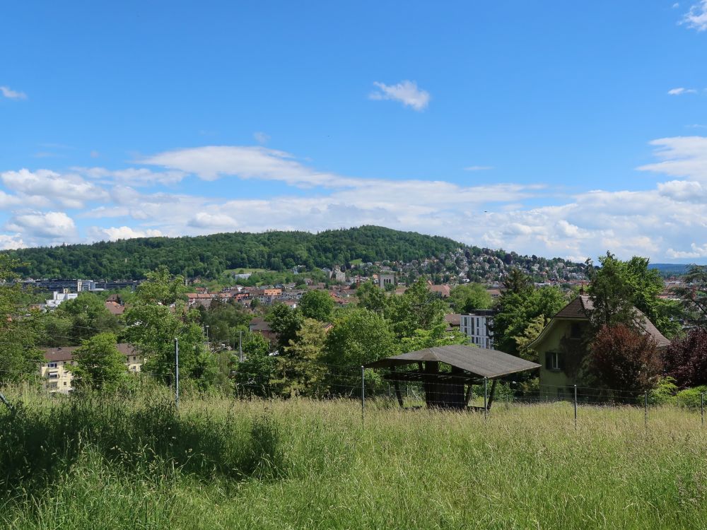 Blick Richtung Zürichberg