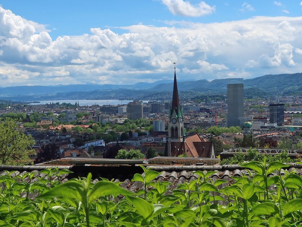 Zürich und Kirche Wipkingen