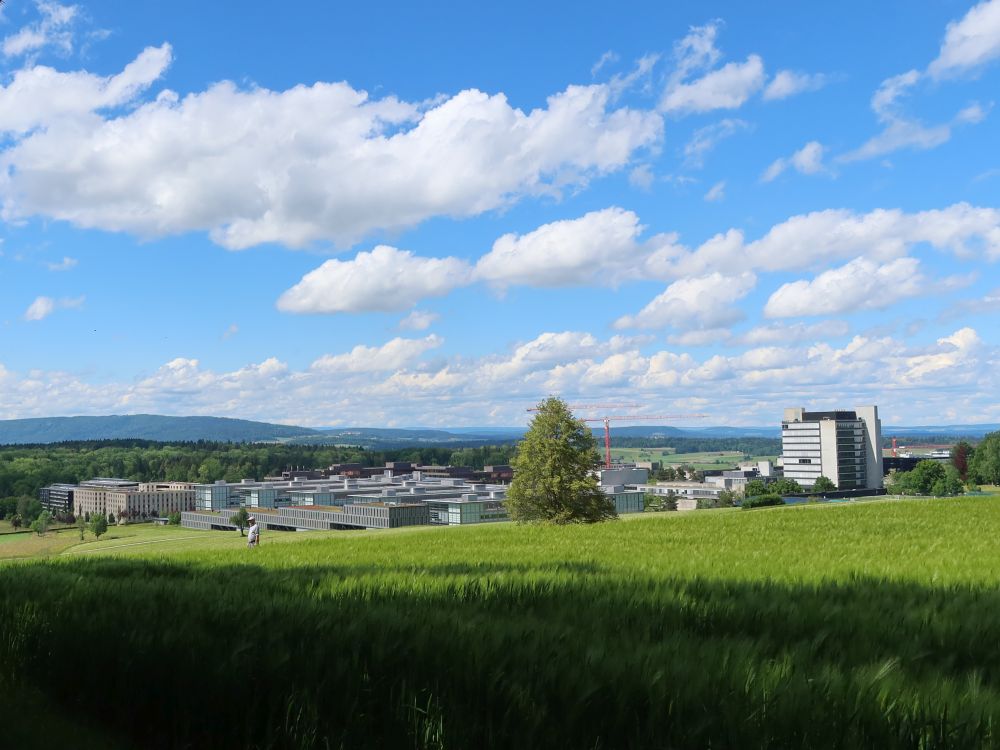 ETHZ Hönggerberg