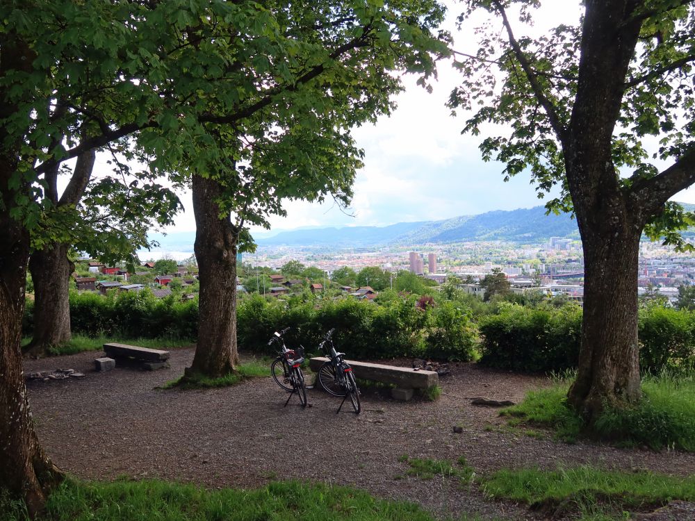 Aussichtspunkt am Waidbergweg