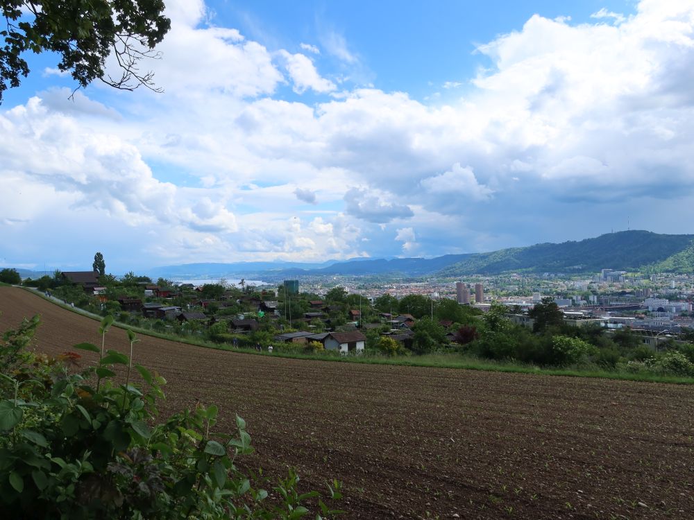 Blick Richtung Zürich