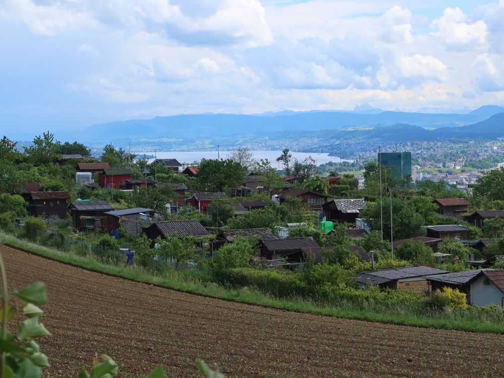 Gartenareal Emil-Klöti und Müseli