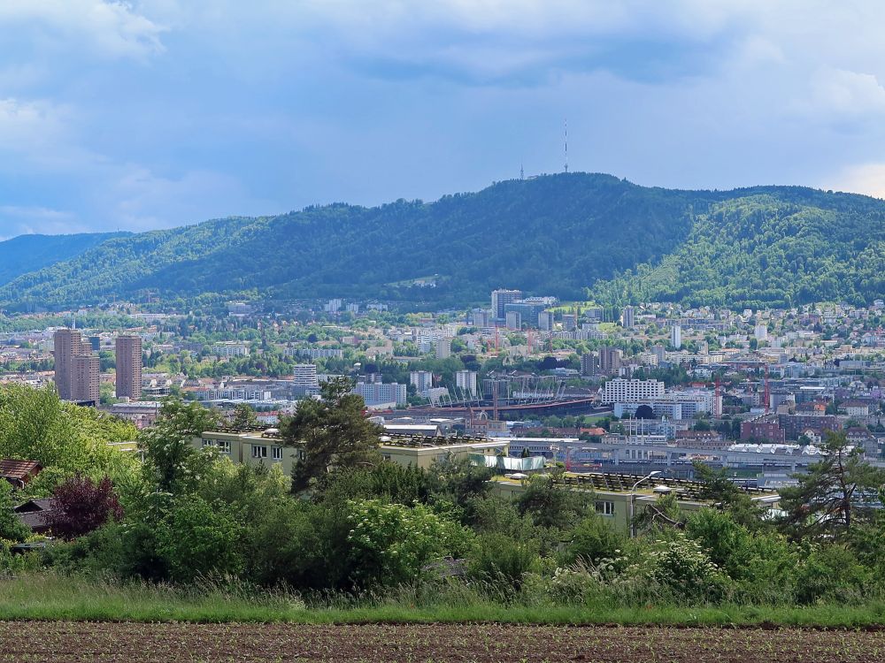 Uetliberg über Zürich