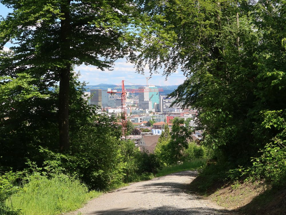 Blick Richtung Oerlikon