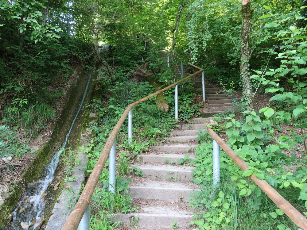 Treppe am Rhein