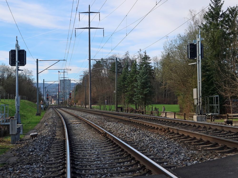 Bahnlinie nach Regensdorf
