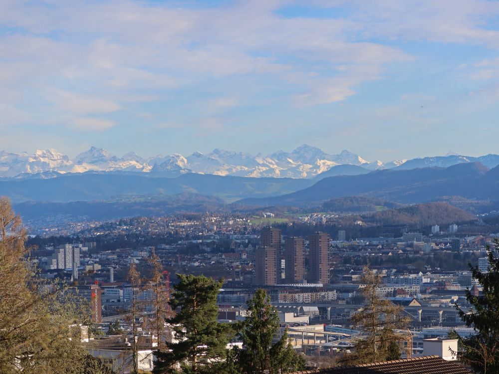 Alpen über Zürich