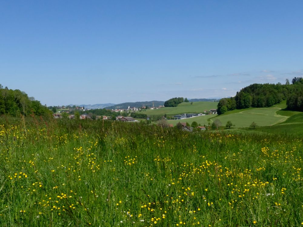 Blick Richtung Kirchberg