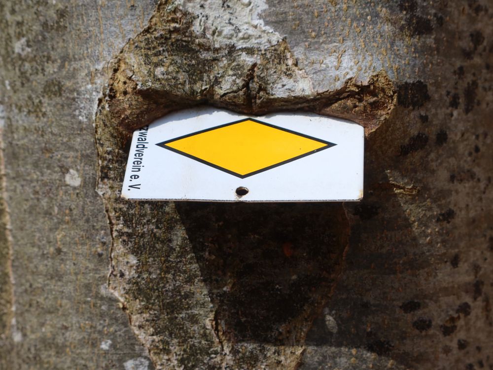 eingewachsene Markierung