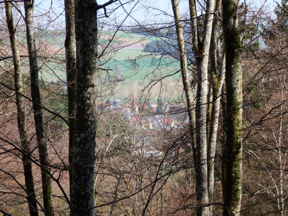 Aulfingen zwischen den Bäumen