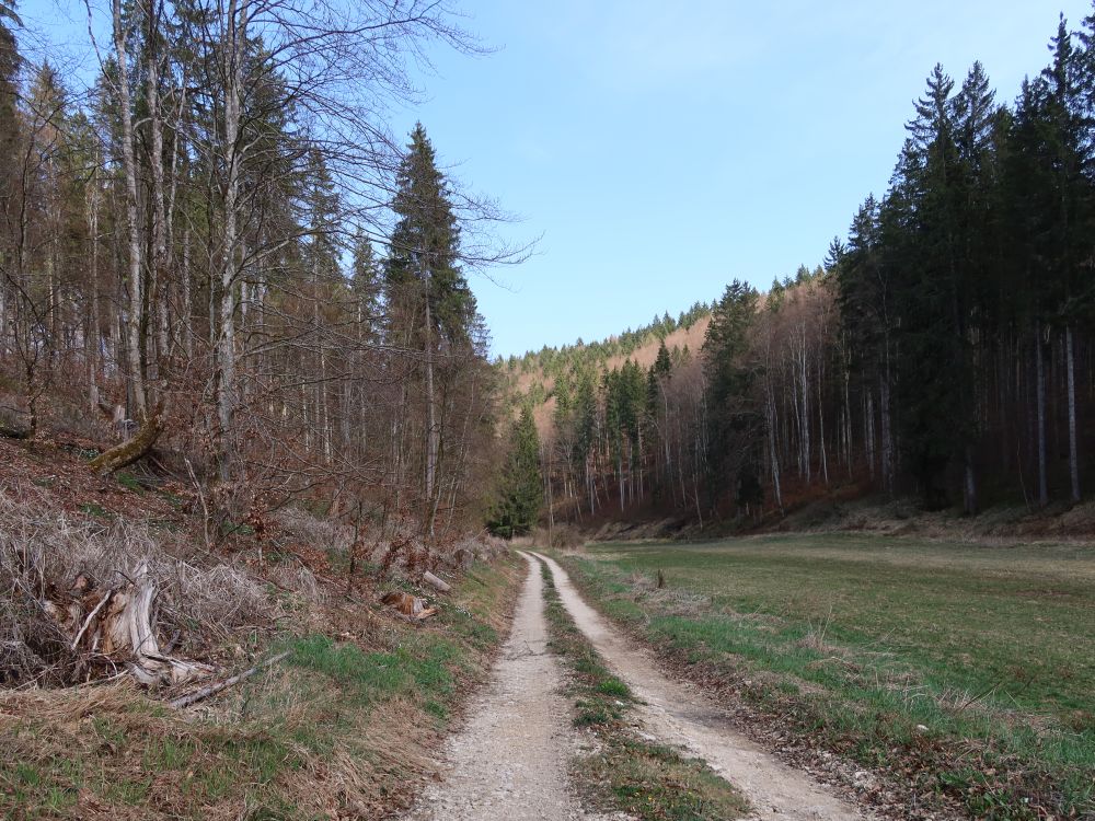 Pfaffentalweg