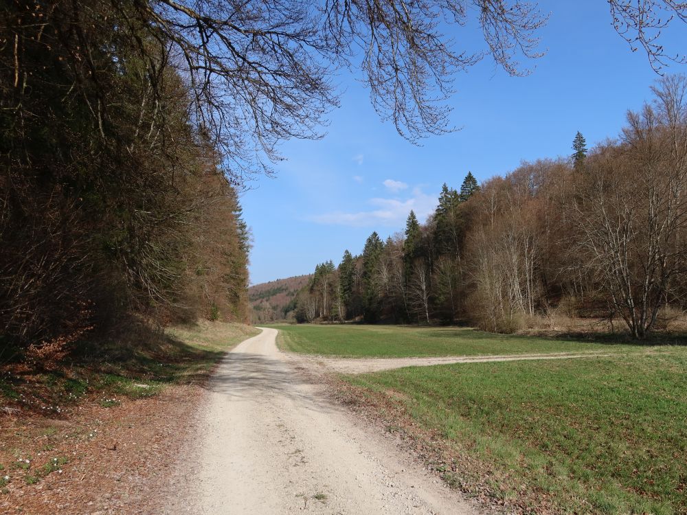 Pfaffentalweg