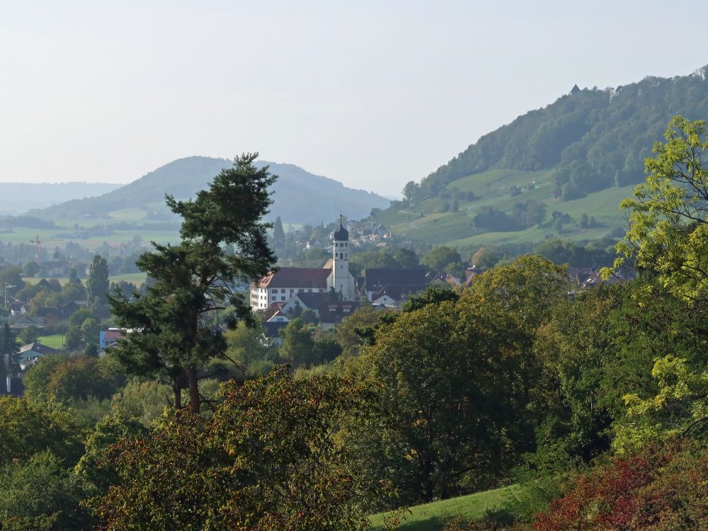 Blick zum Kloster Öhningen