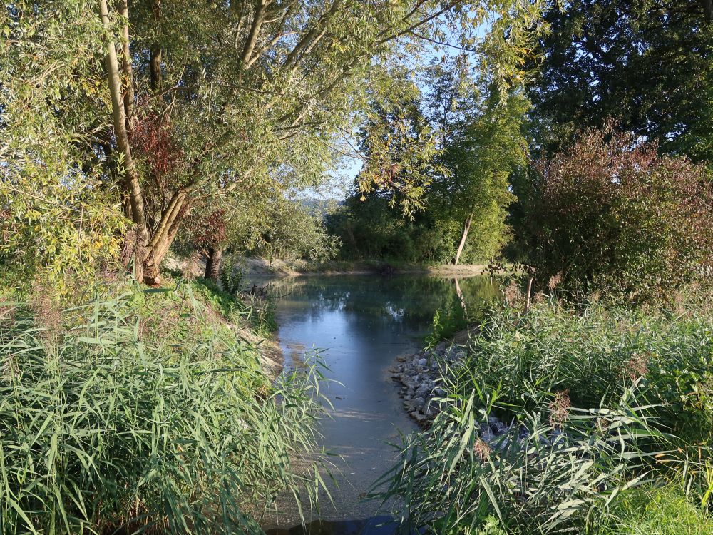 Teich am Klingenbach
