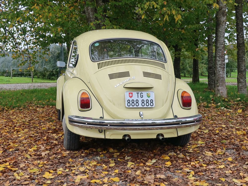 VW-Käfer