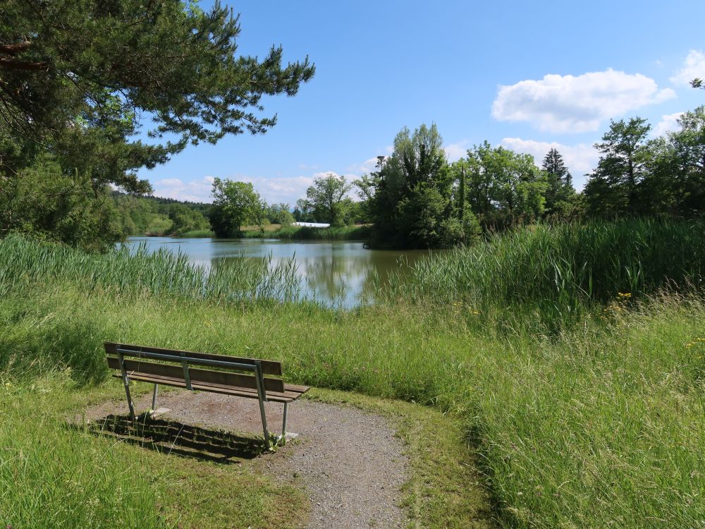 Schübelweiher