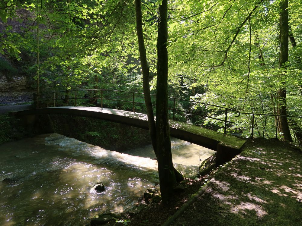 Brücke im Küsnachter Tobel