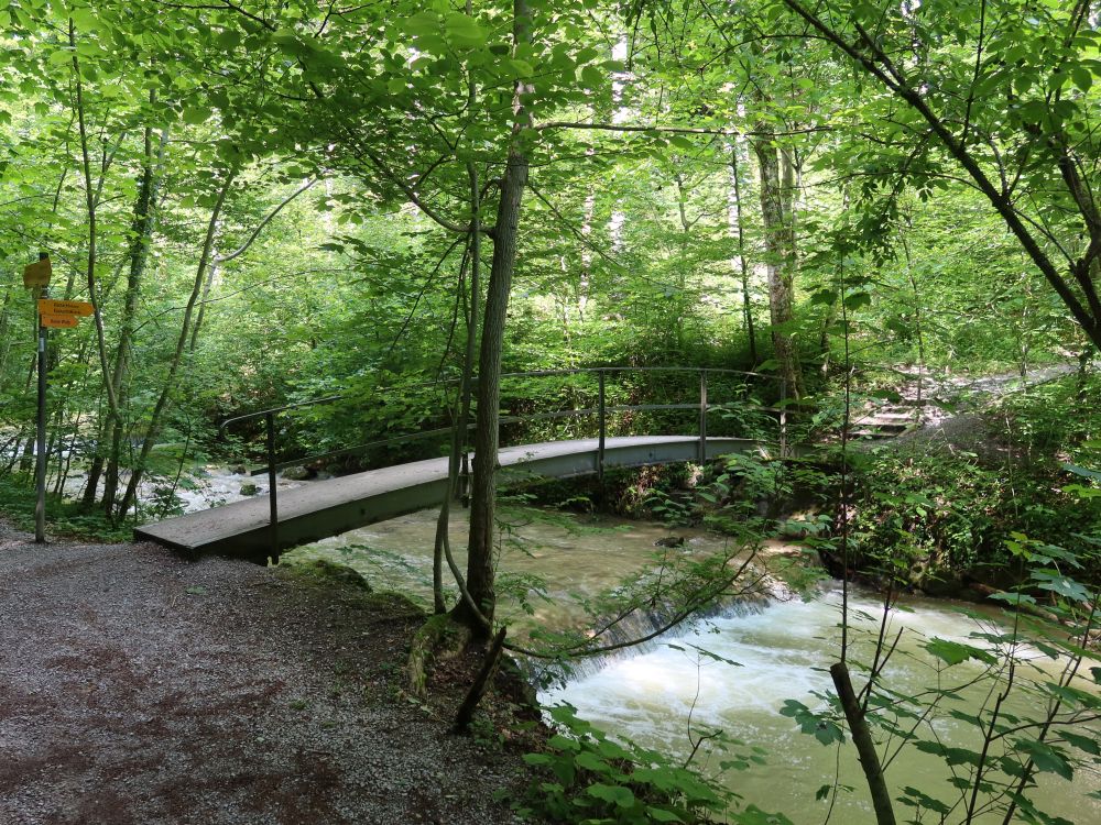 Brücke im Küsnachter Tobel