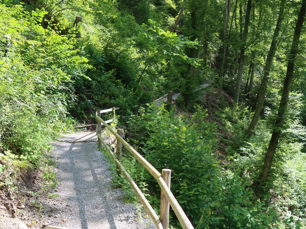 Bergweg bei Zürimoos