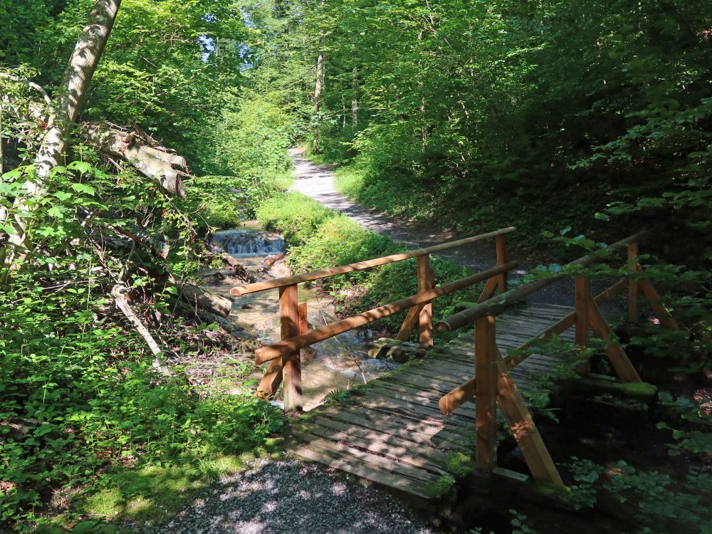 Brücke im Heslibachtobel