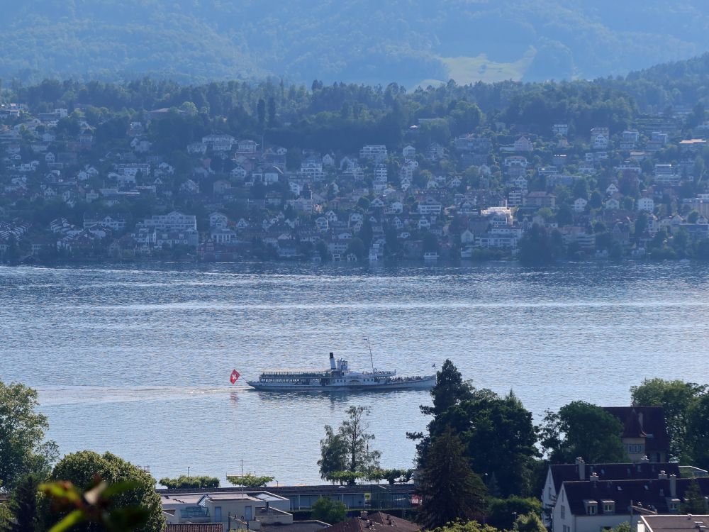 Dampfschiff auf dem Zürichsee