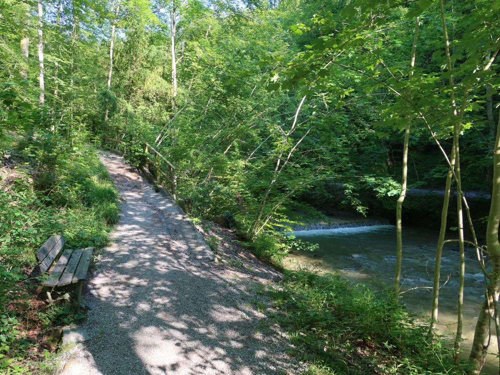 Erlenbacher Tobelweg