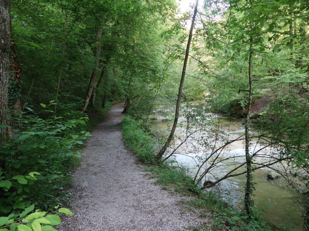 Erlenbacher Tobelweg