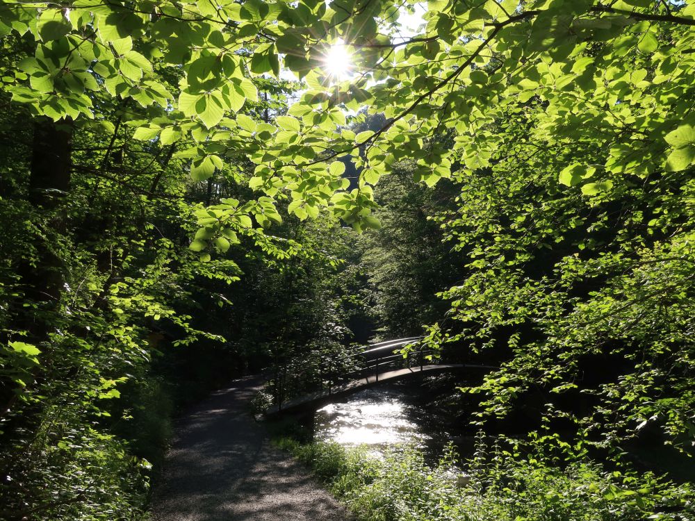 Brücke übern Dorbach