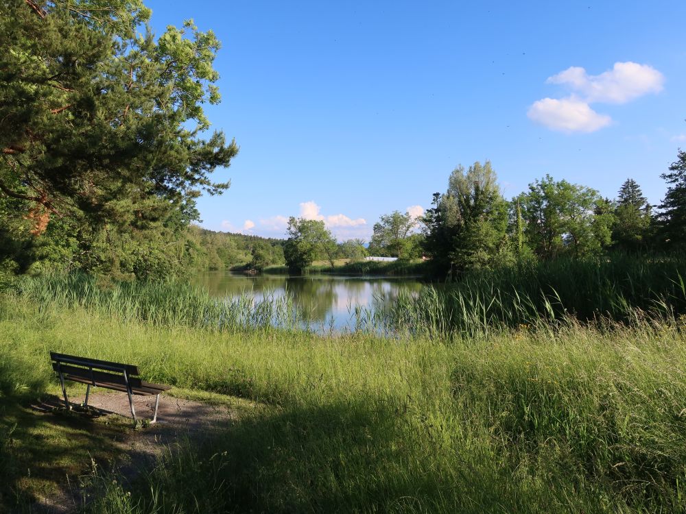 Schübelweiher