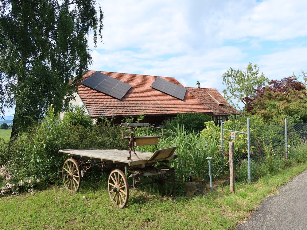 Pferdewagen bei Hüsli