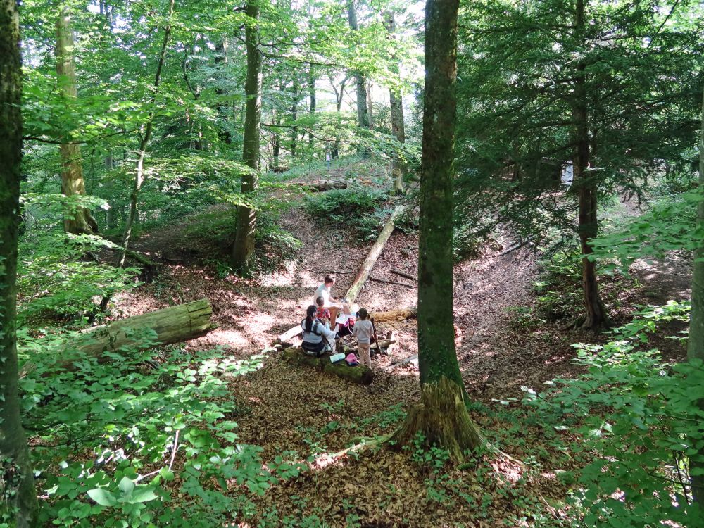 Rast bei Ruine Landsberg