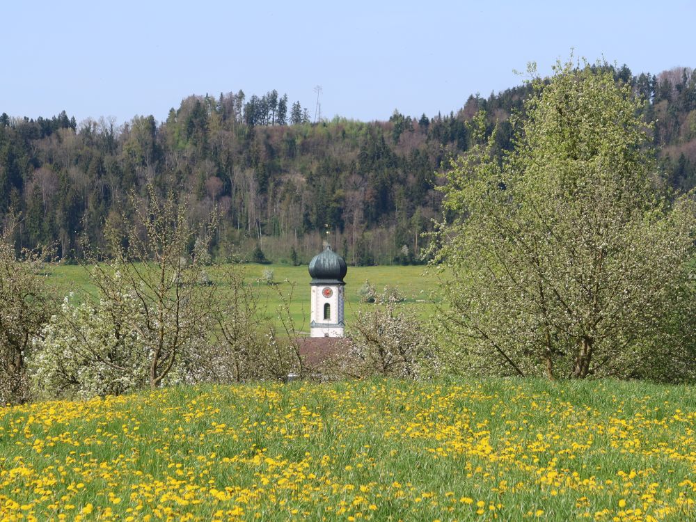 Kirchturm Lenggenwil