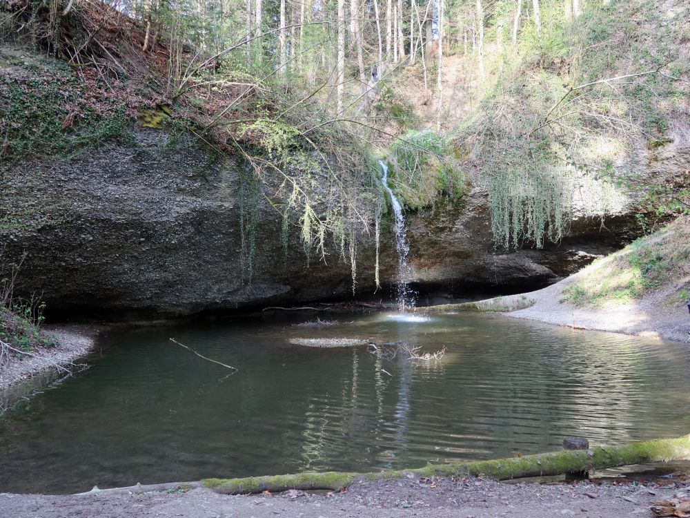 Teich am Hohlen Stein