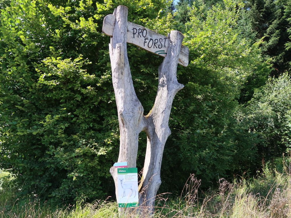 Skulptur Pro Forst
