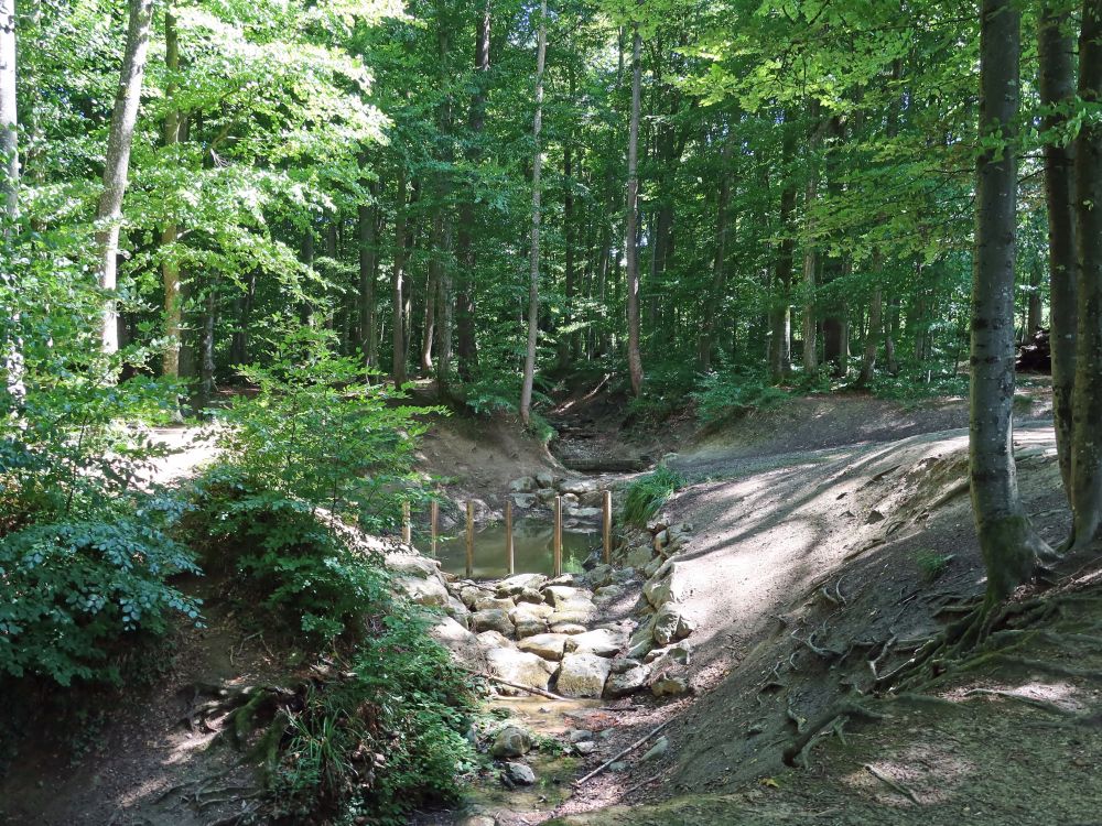 Staubecken am Gaisbergerbach