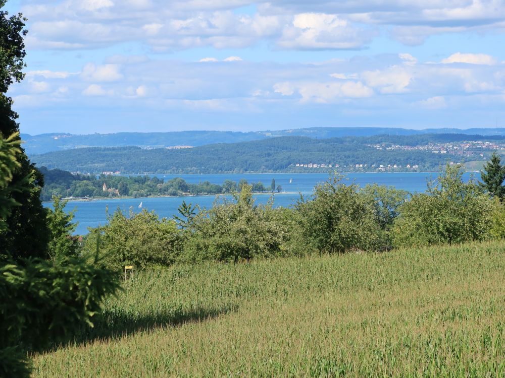Blick auf den Bodensee