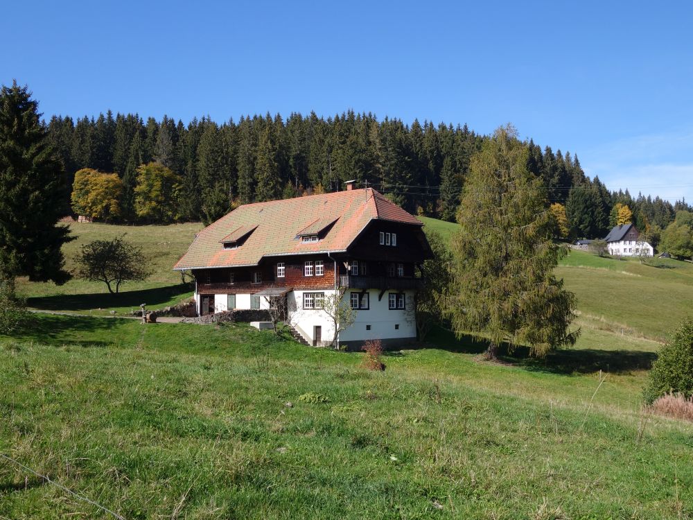Schwarzwaldhaus bei Fischbach