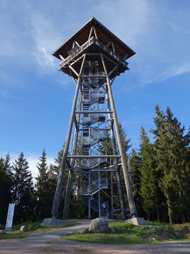 Riesenbühl-Turm