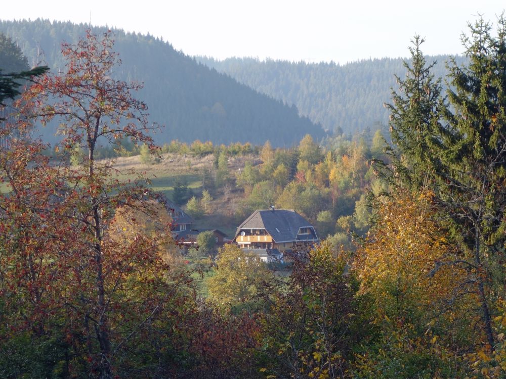 Haus oberhalb Lenzkirch