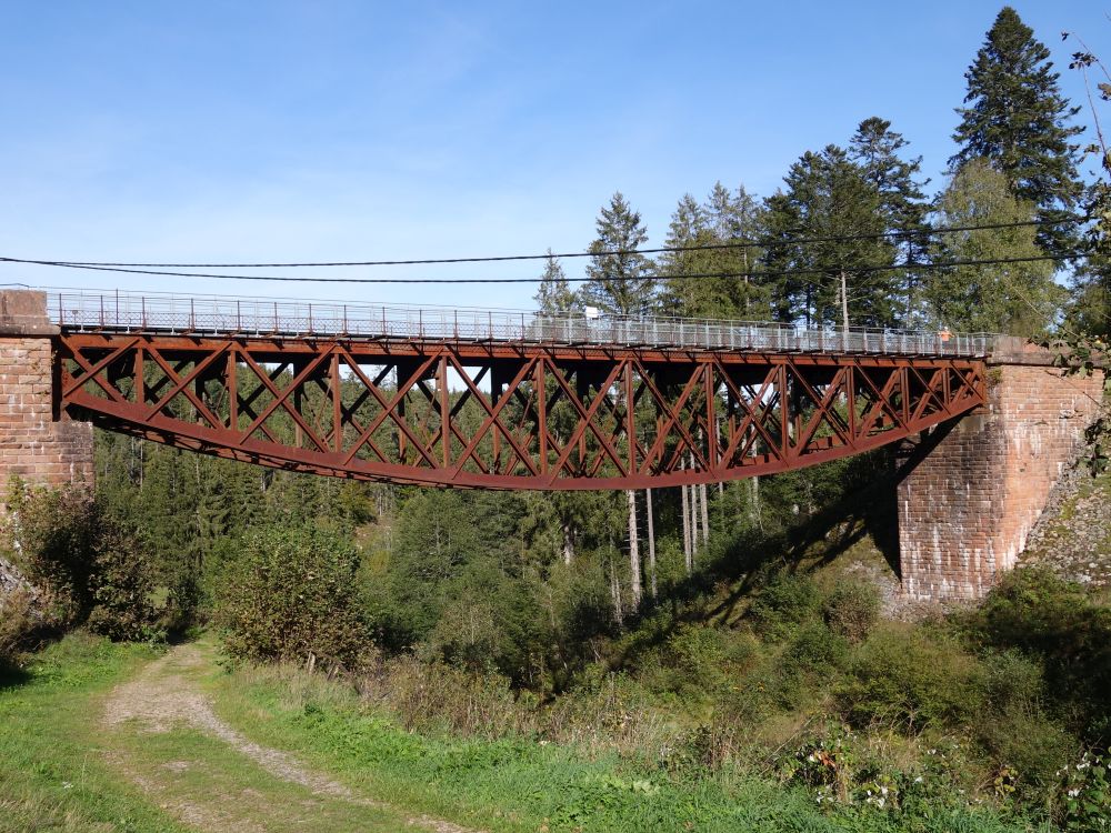 alte Eisenbahnbrücke